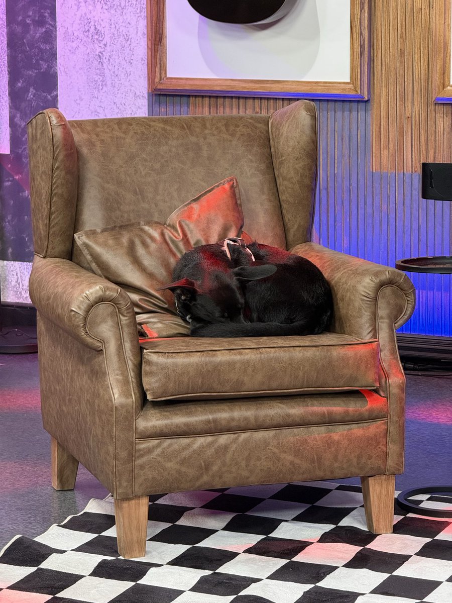 tapados de laburo 🌶 tweet media