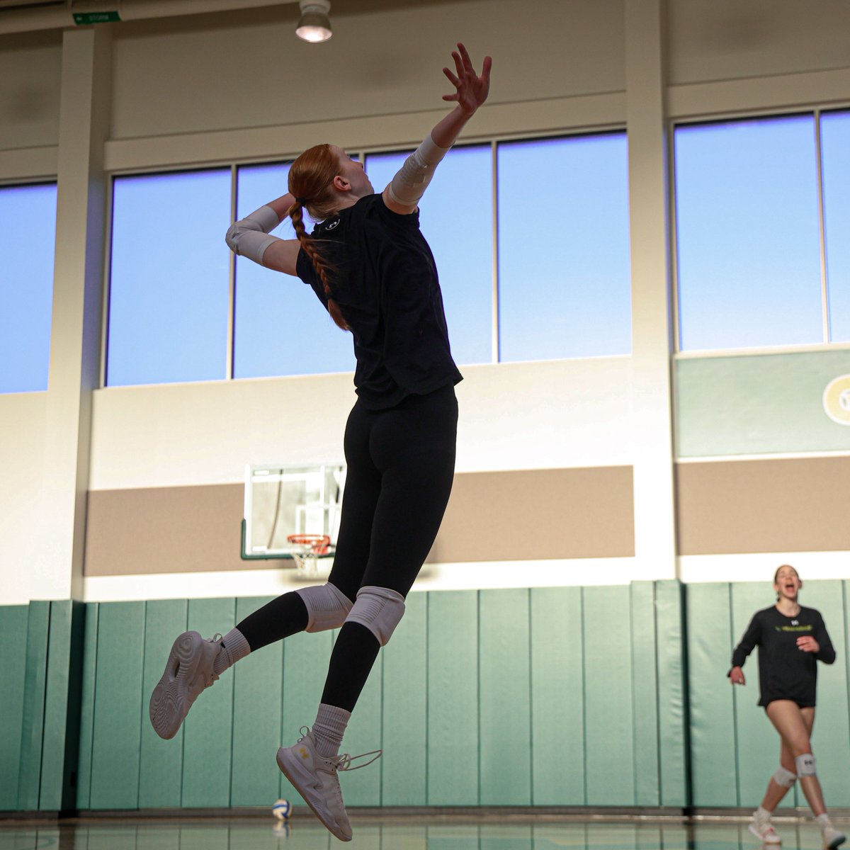 William & Mary Tribe Volleyball tweet media