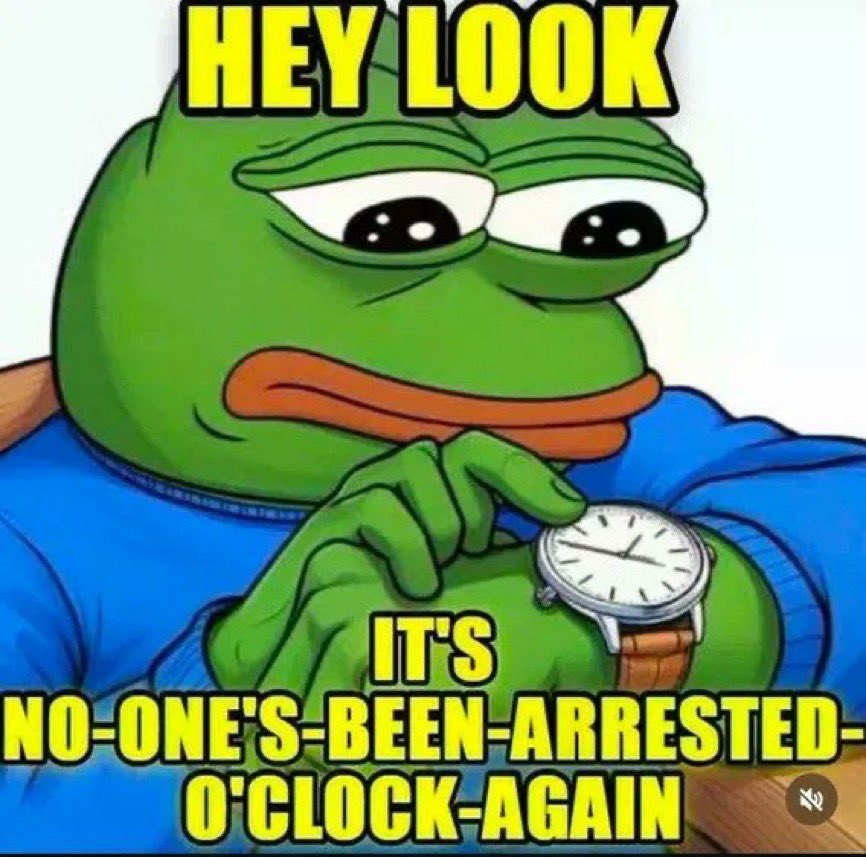 Tristan Wolf Abbott tweet media