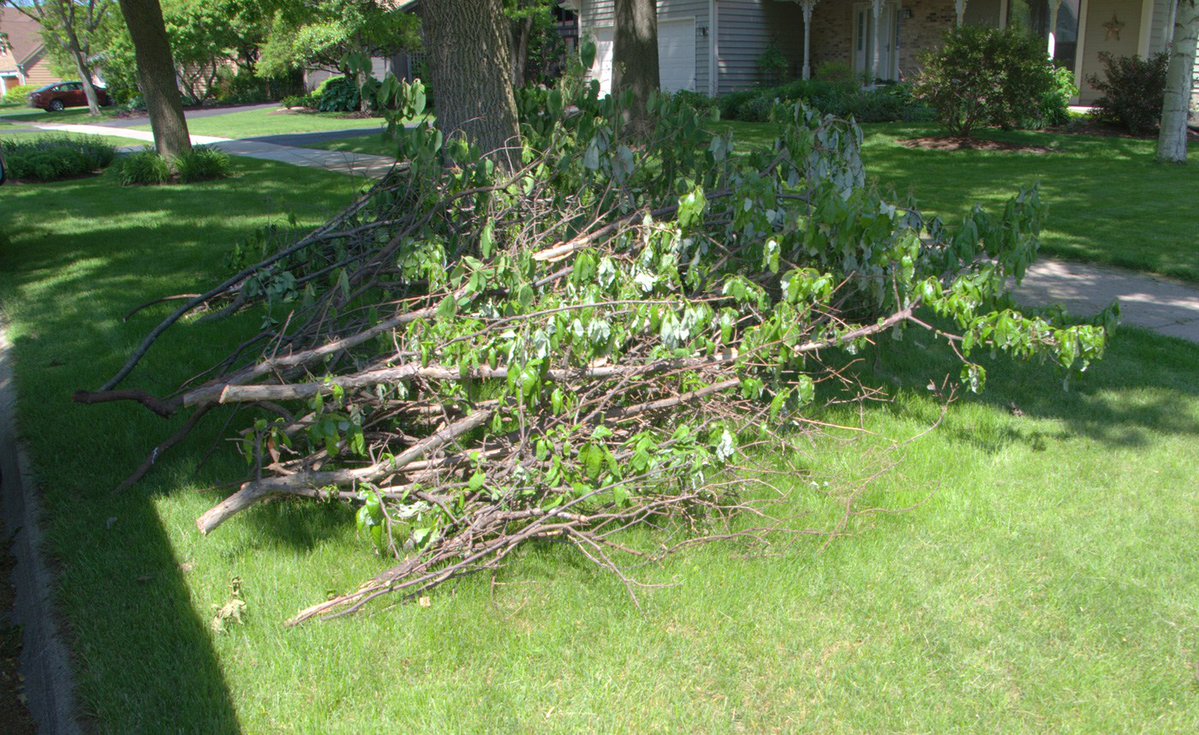 Geneva IL tweet media