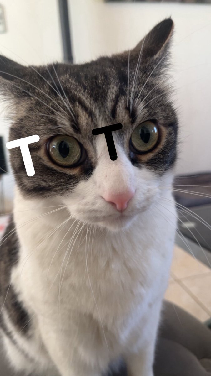 latte cœur lpb tweet media