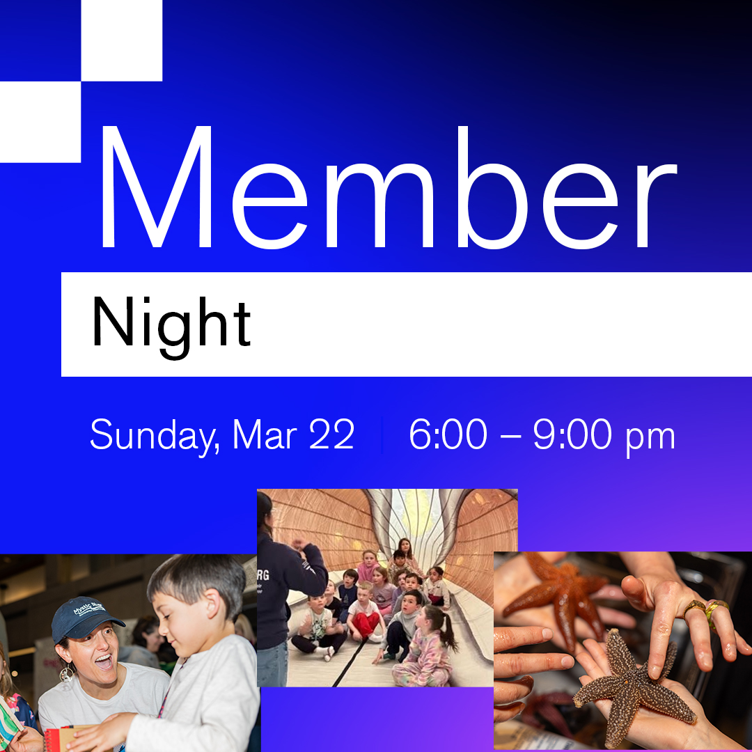 Museum of Science tweet media