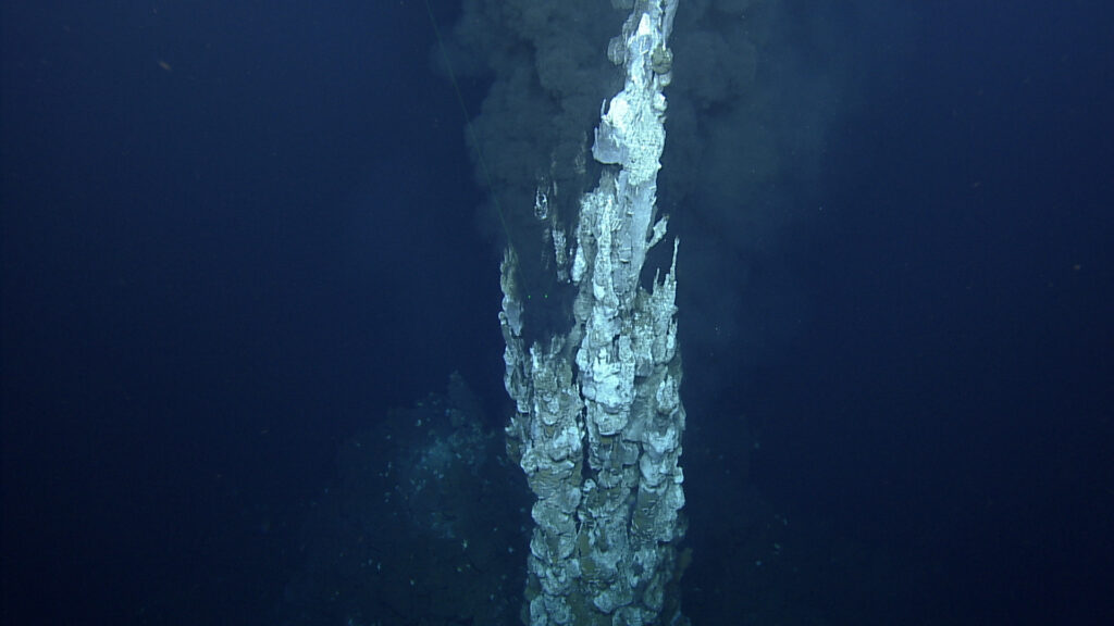 NOAA Ocean Exploration tweet media