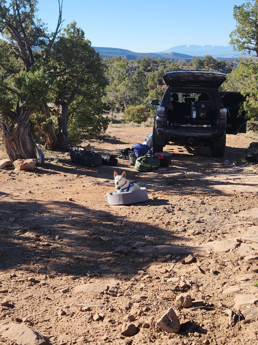ChasingTheHops's tweet photo. #imtheluckyone I'd get a @CampingWorld camper for the pup and I!  More adventures inbound! https://t.co/kE6TnTOKkm