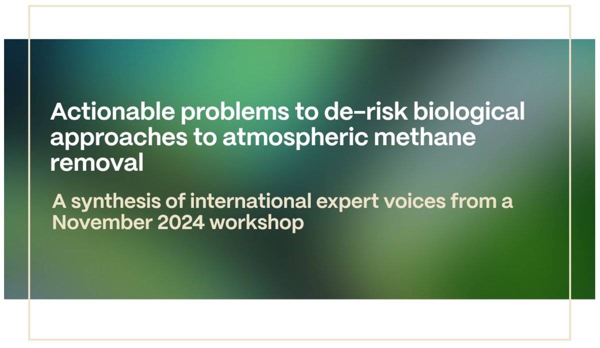 Homeworld Collective tweet media