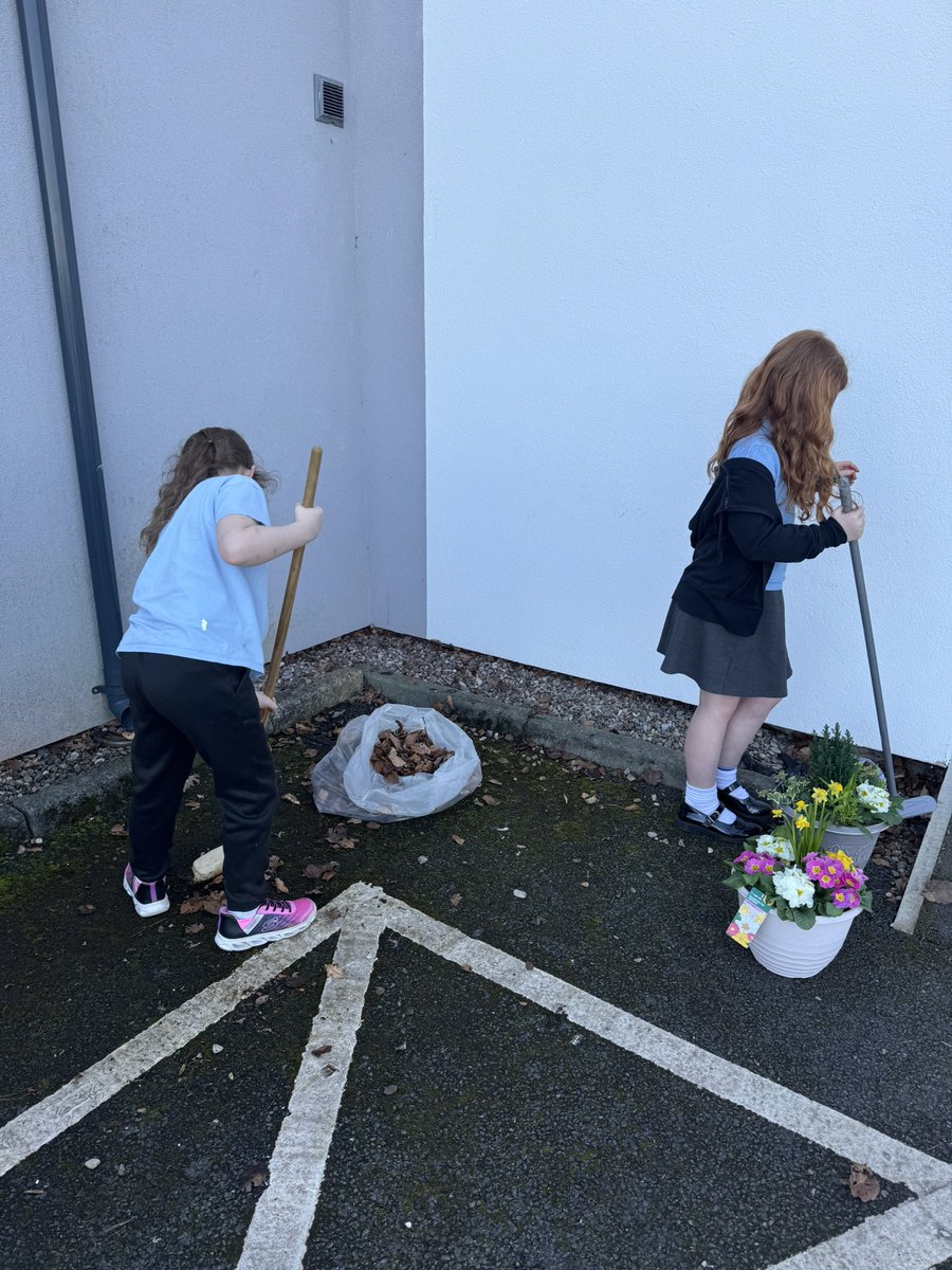 After Acres tweet media