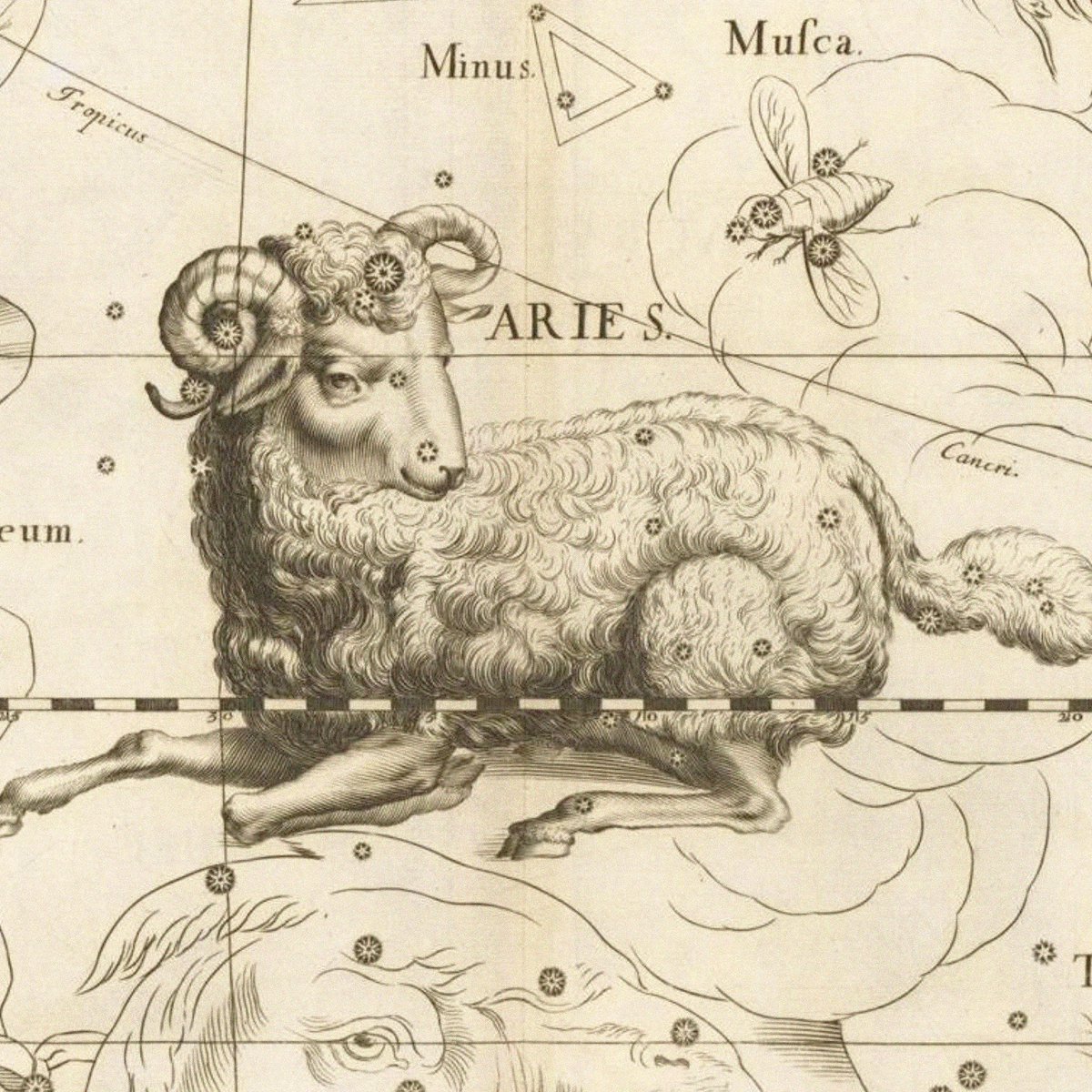 Symbolic Studies tweet media