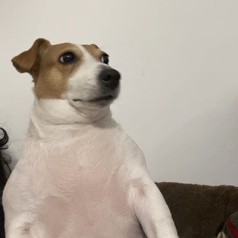 IsManuPlay tweet media