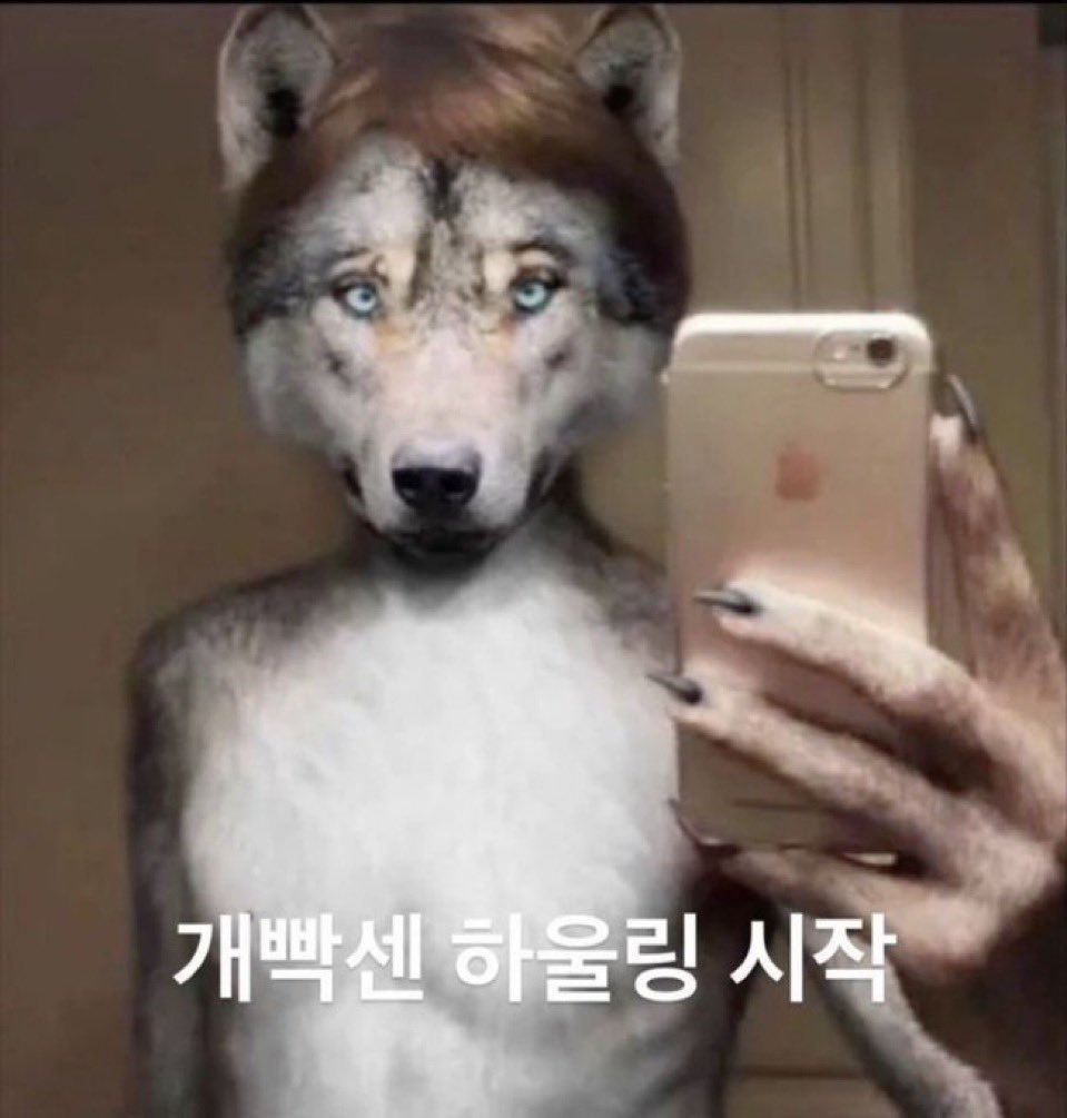 복분자(slow) tweet media