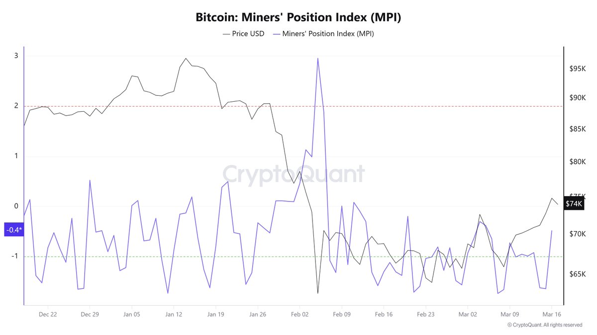 Arab Chain tweet media
