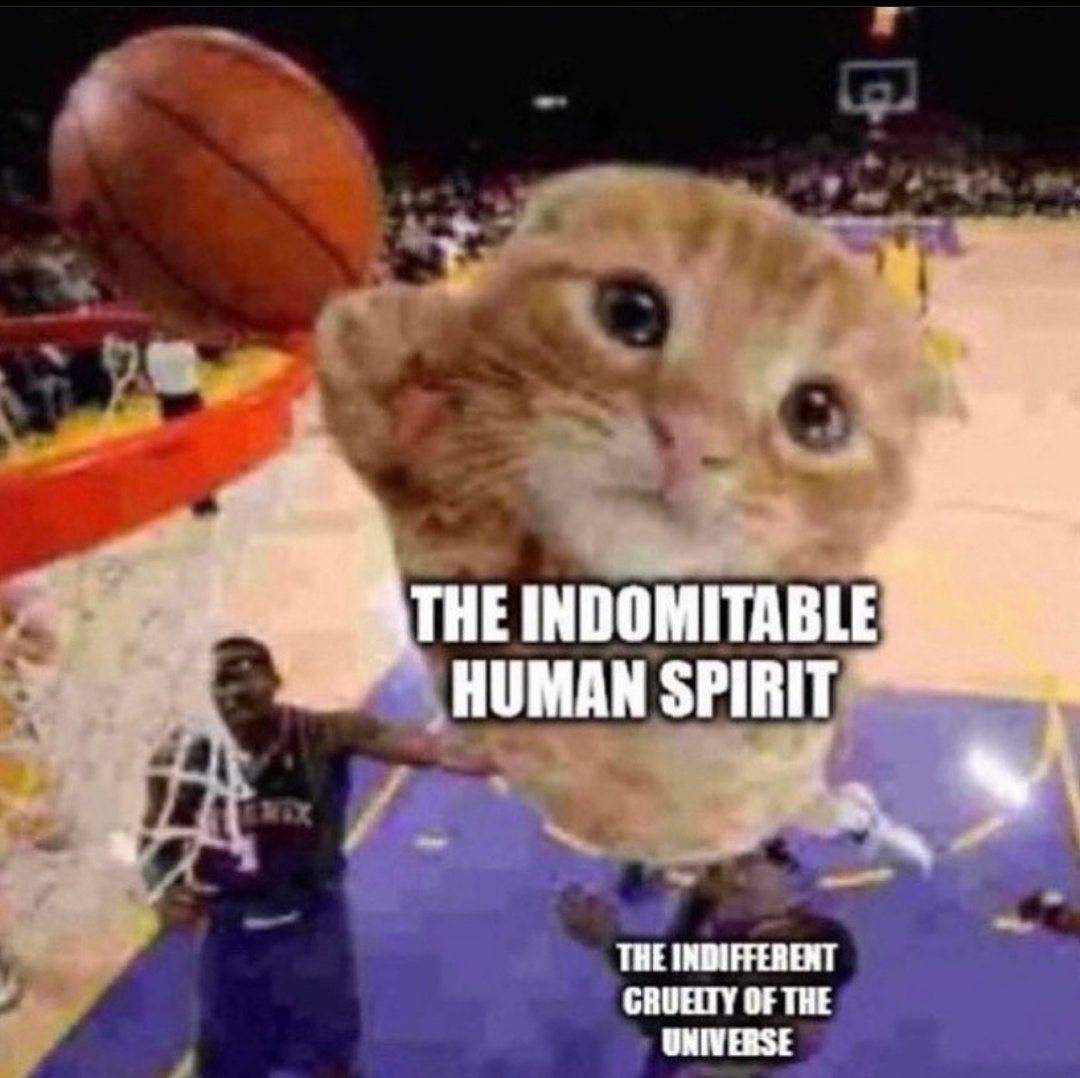 LyleTheVile tweet media