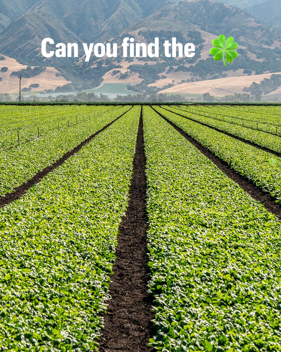 Subway® tweet media