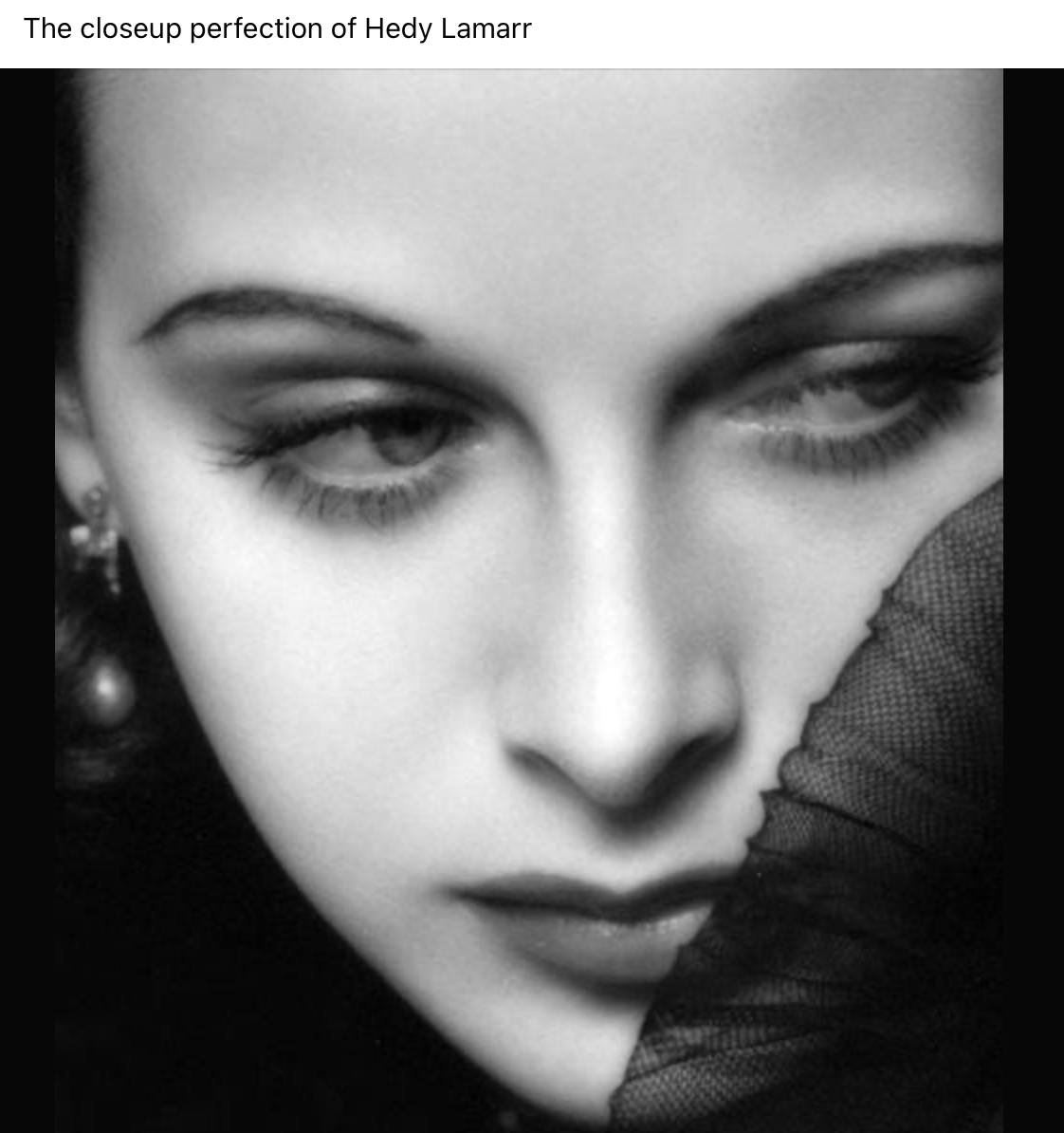 Elizabeth Crowens tweet media