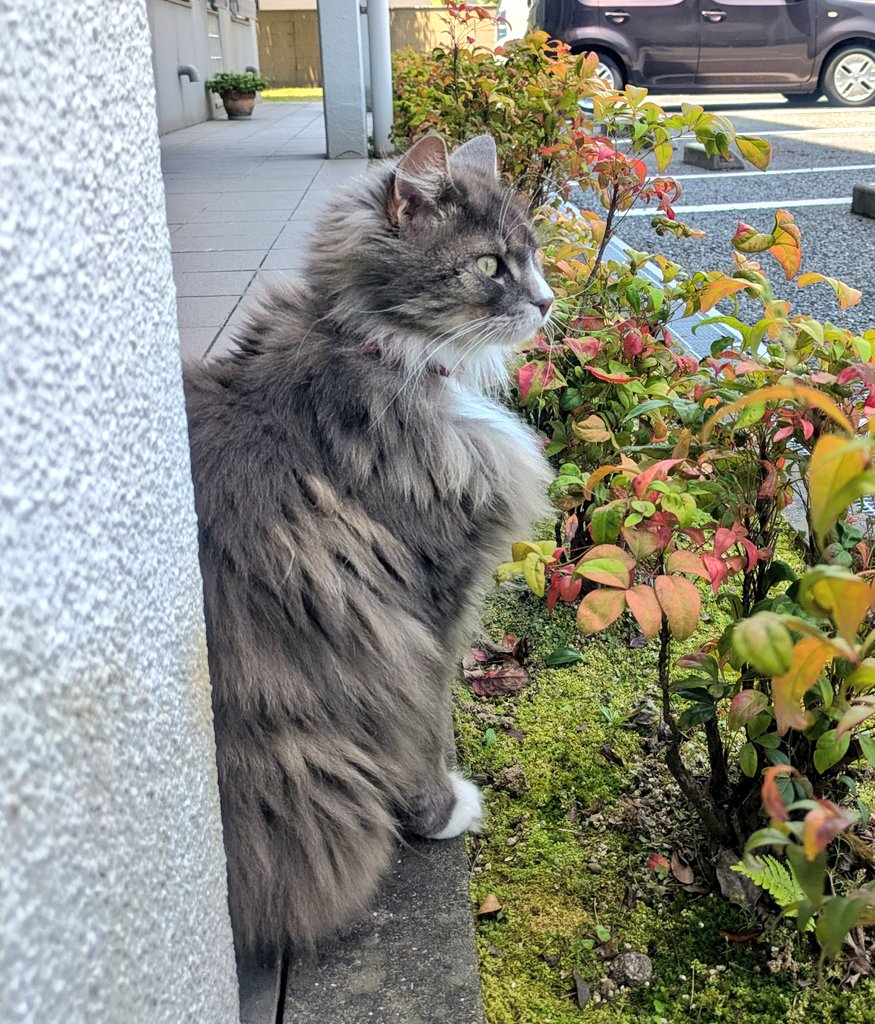 JEWEL@白羽🦋 tweet media