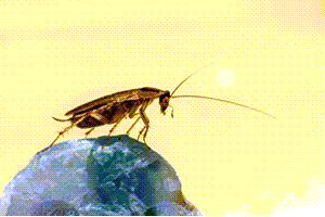 Ask The Headhunter tweet media