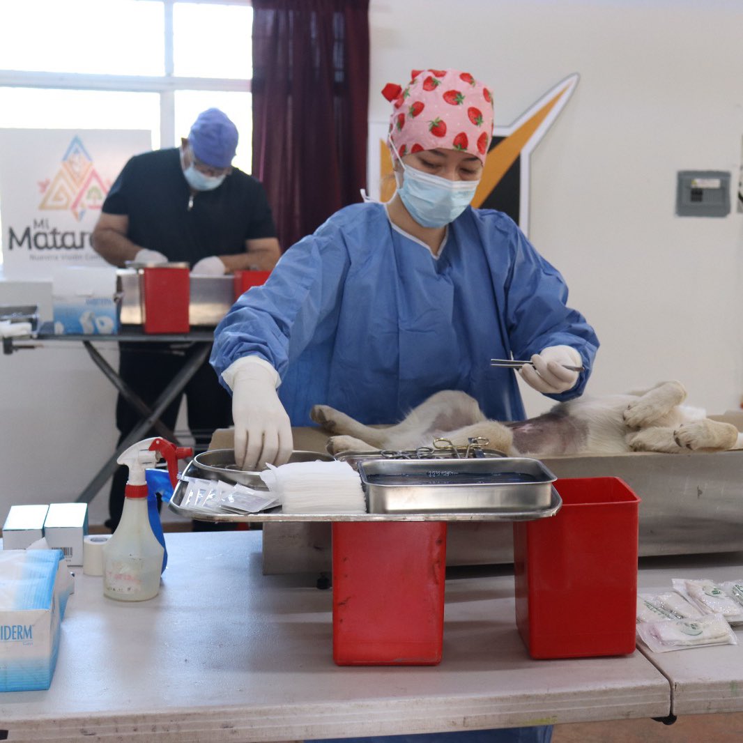 Somos MON tweet media