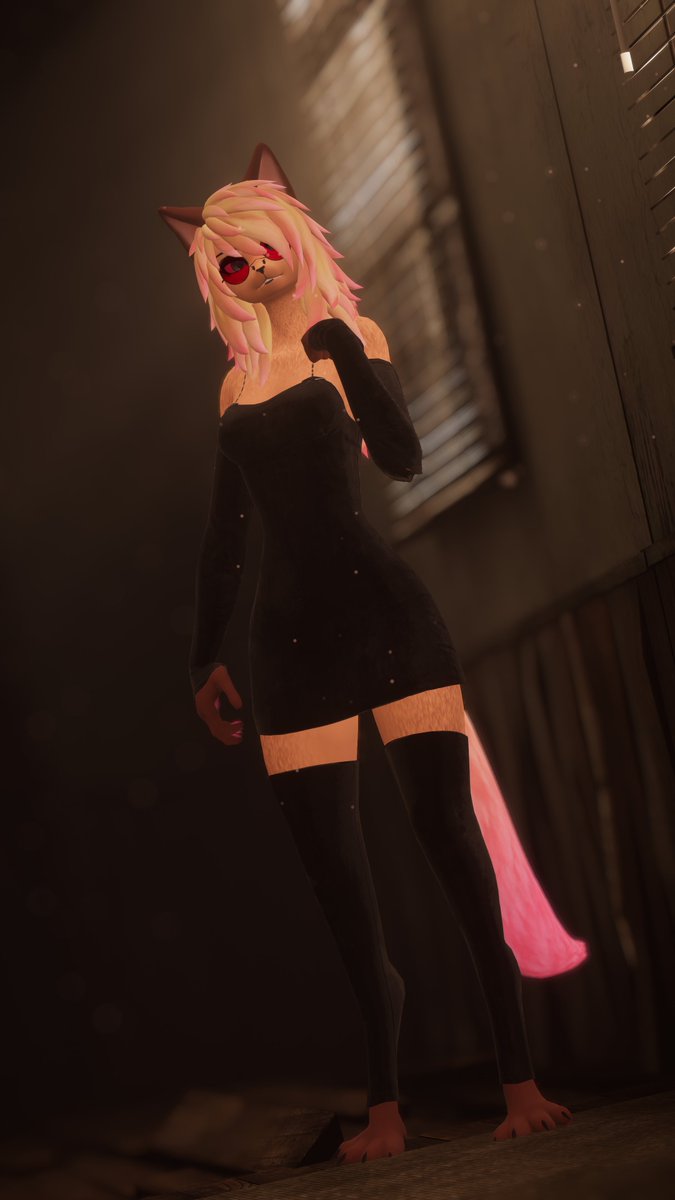 Snake (Cat) Mayo 🏳️⚧️ tweet media