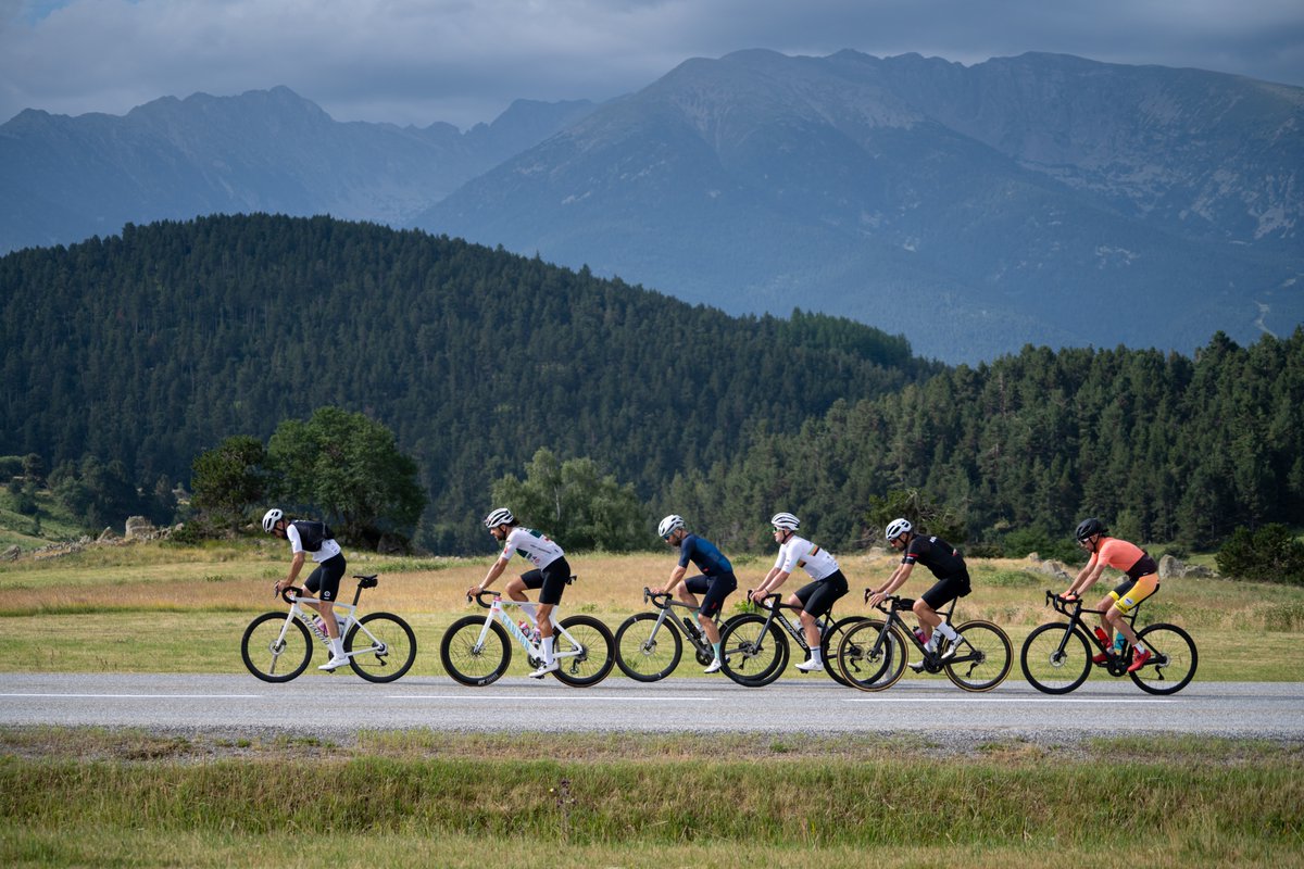 Sportvicious tweet media