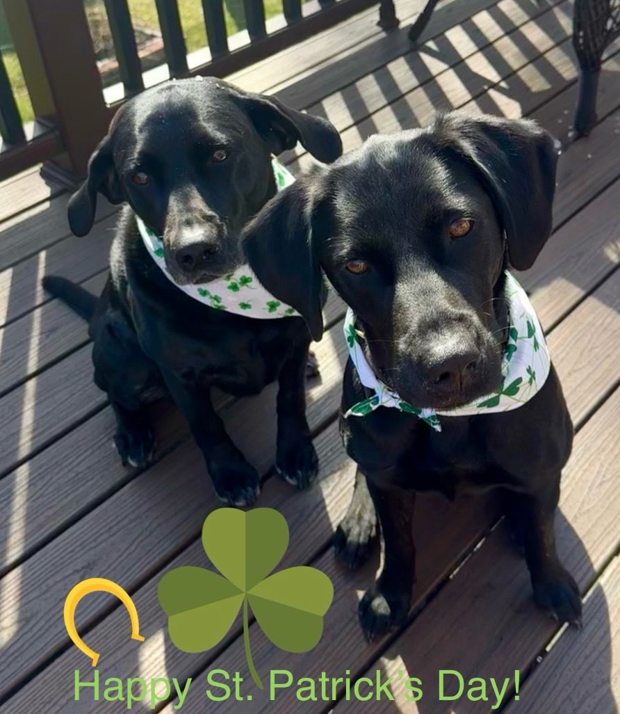 Kristina C.🌸 tweet media