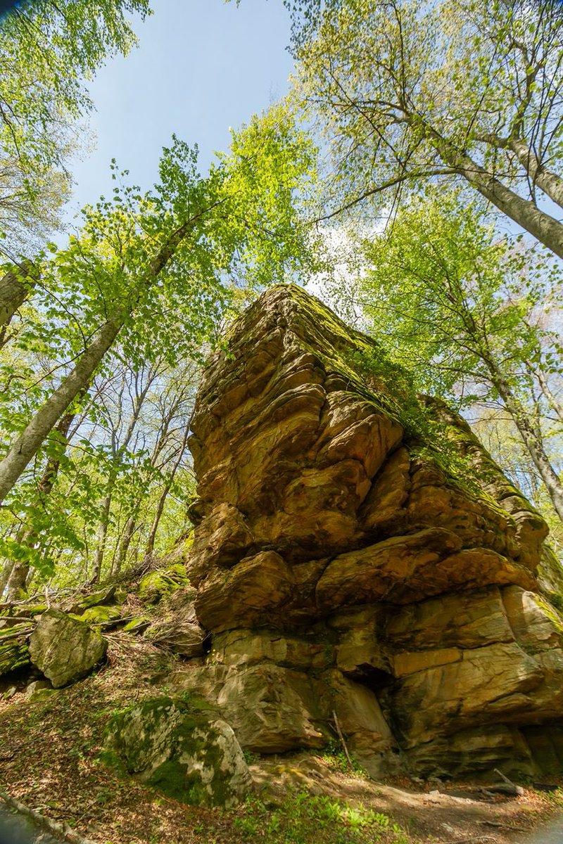 Erdem Yavuz (@erdemyavuz00) on Twitter photo 