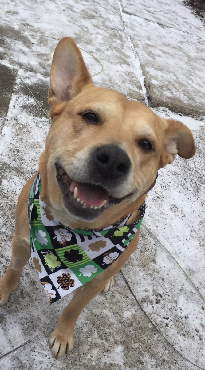 Da Thankful Queendom tweet media