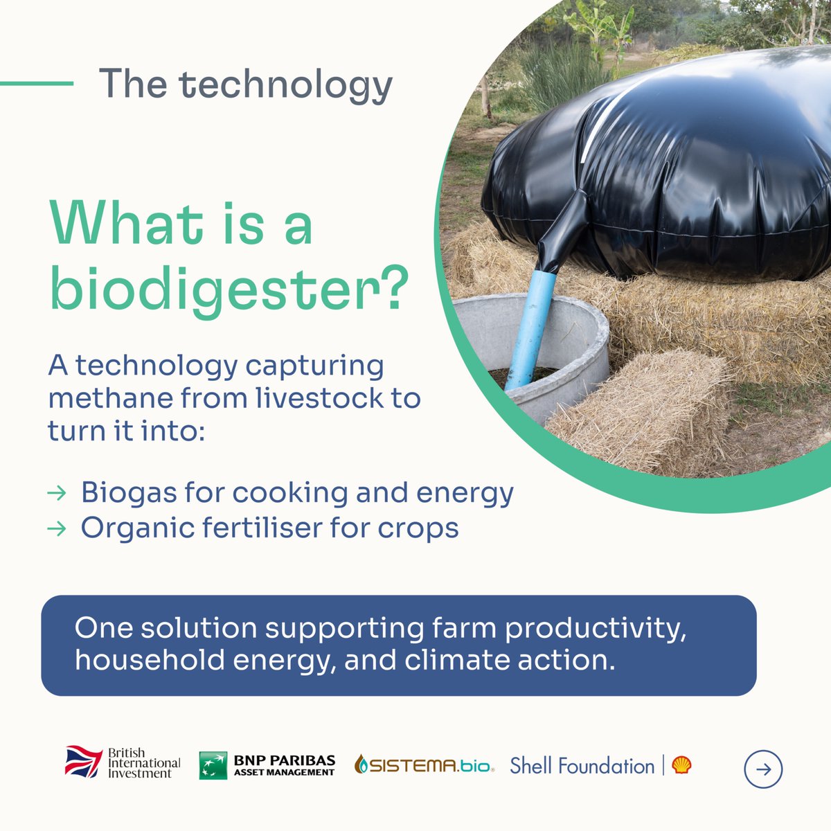 Shell Foundation tweet media