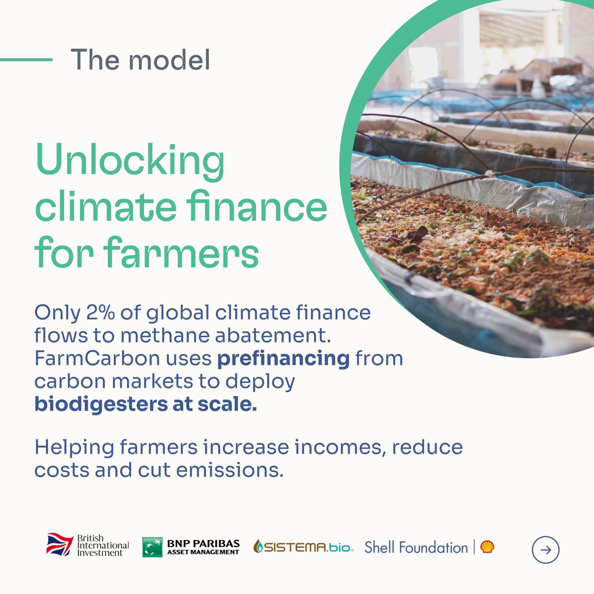 Shell Foundation tweet media