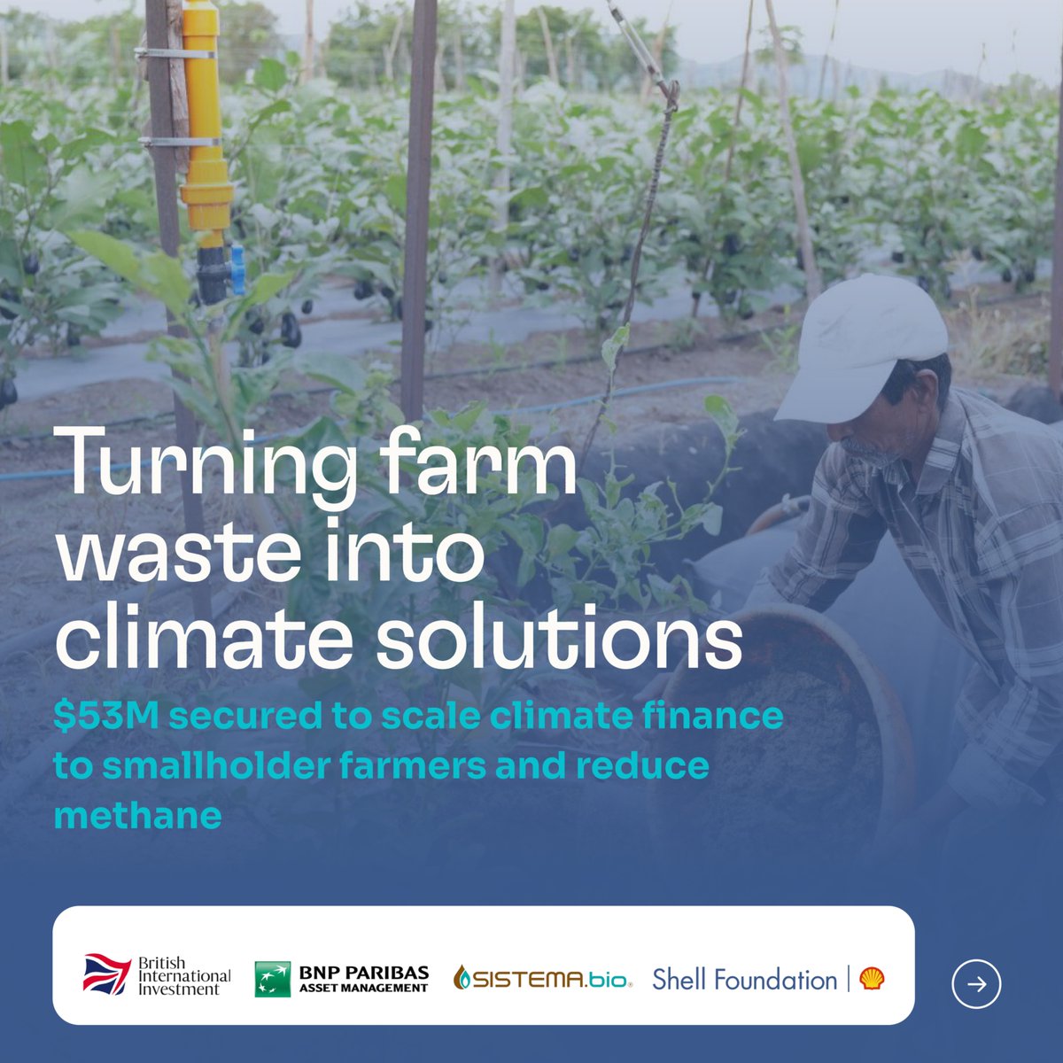 Shell Foundation tweet media