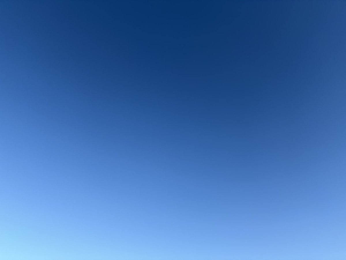 The Musty Chapstick 💄 tweet media