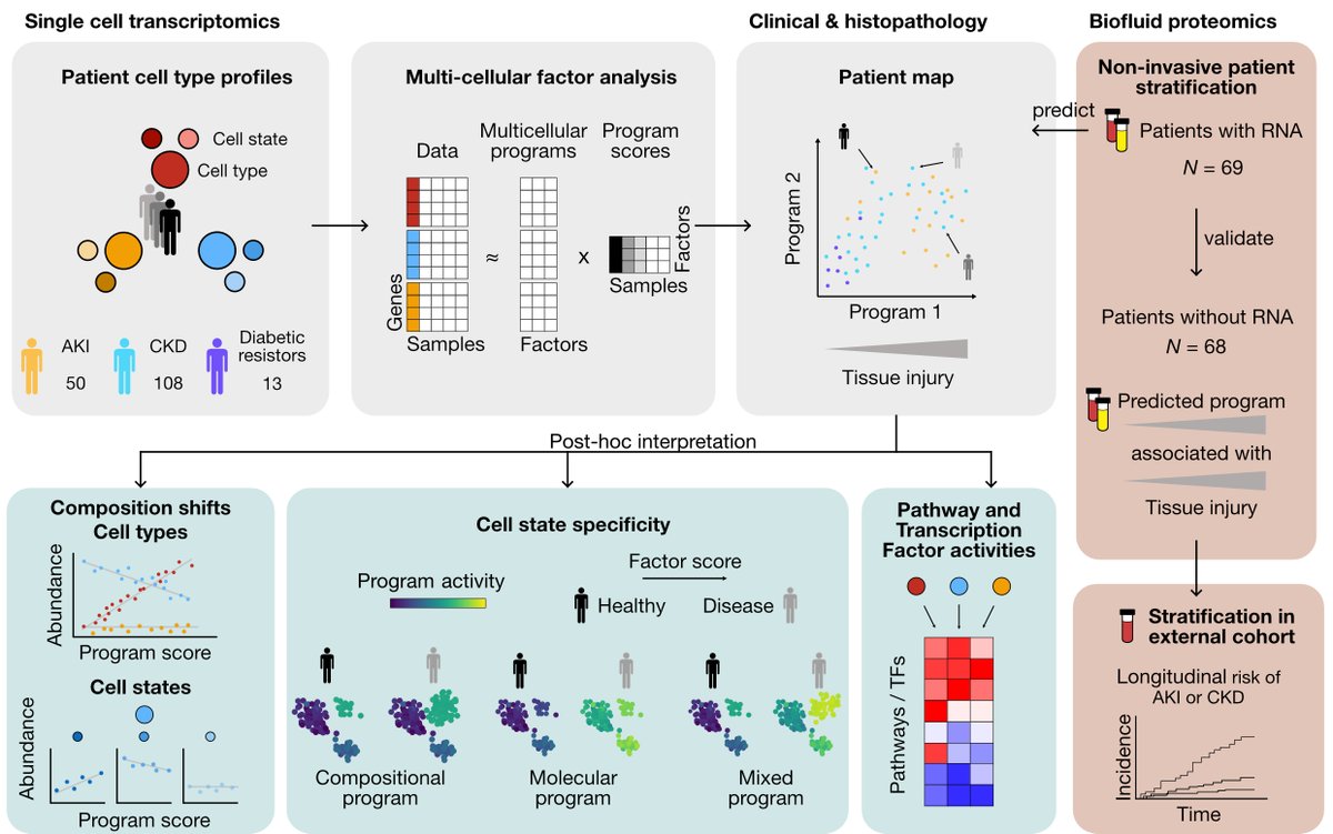 Saez-Rodriguez Group tweet media