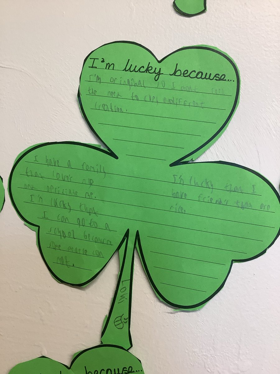 Maple Year 5 tweet media