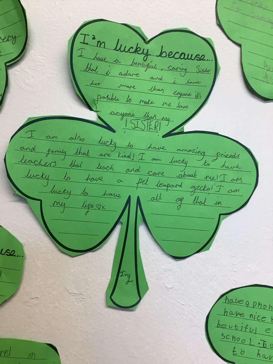 Maple Year 5 tweet media