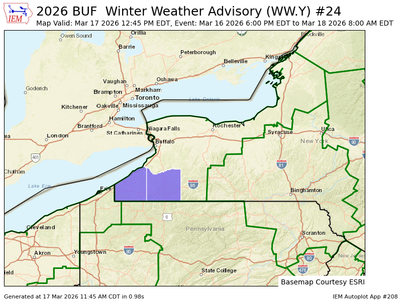 Autumn Lewandowski tweet media