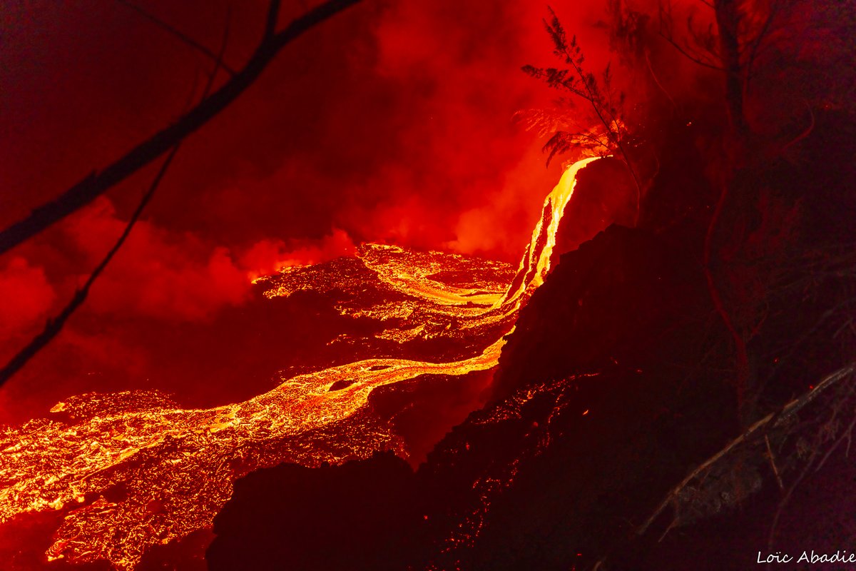 Loic Abadie tweet media