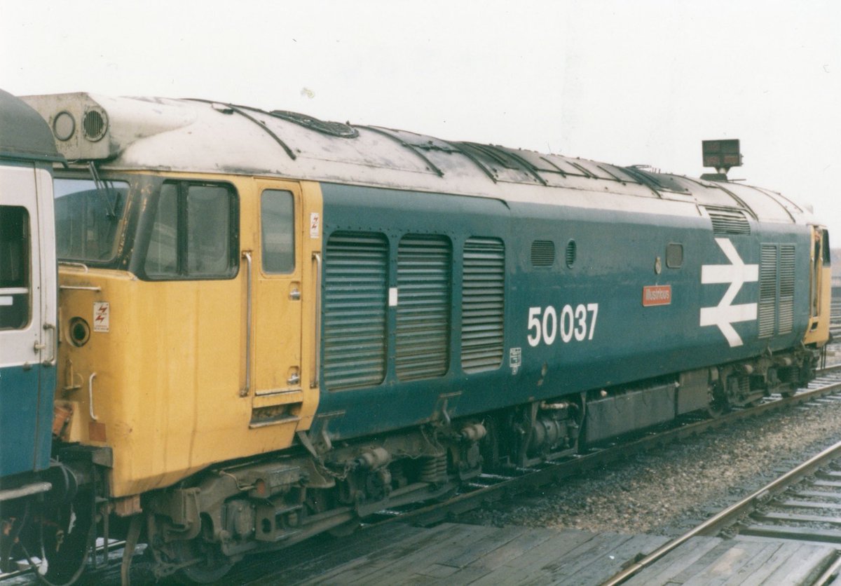 Nick the Pirate tweet media