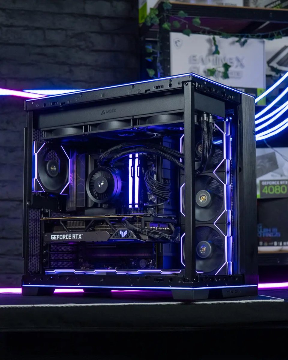 MONKEY.D.GRIMAL 🏴‍☠️ tweet media