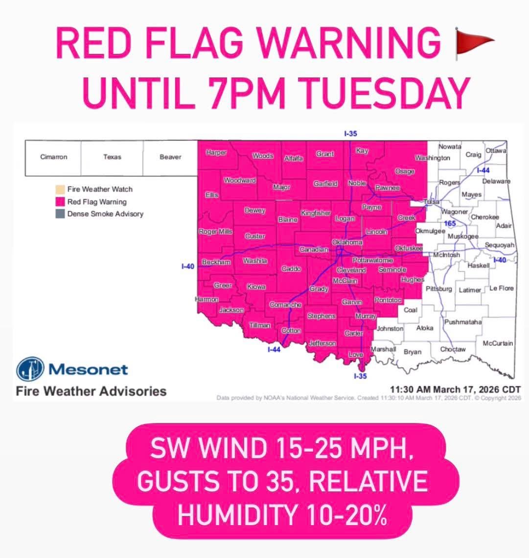 Emily Sutton tweet media