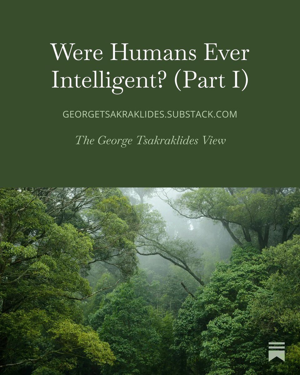 George Tsakraklides tweet media