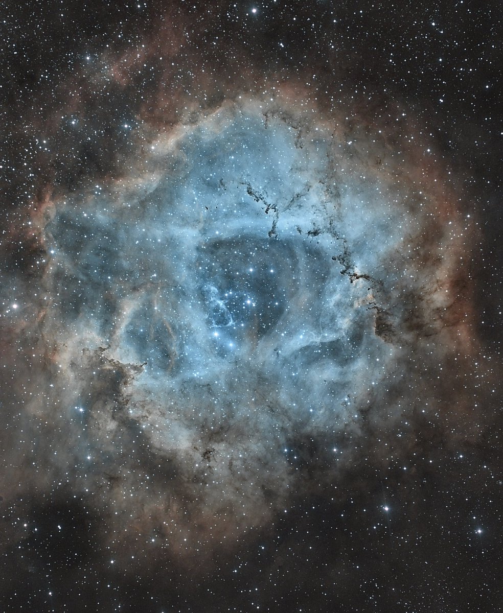 Maciej Milczanowski tweet media