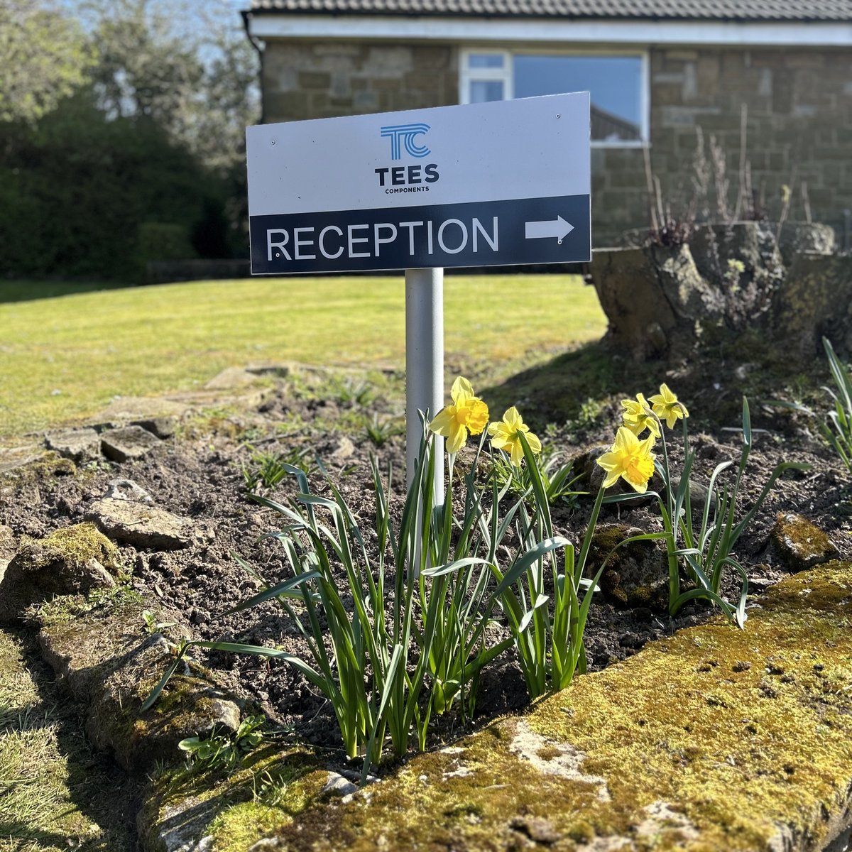 Tees Components tweet media