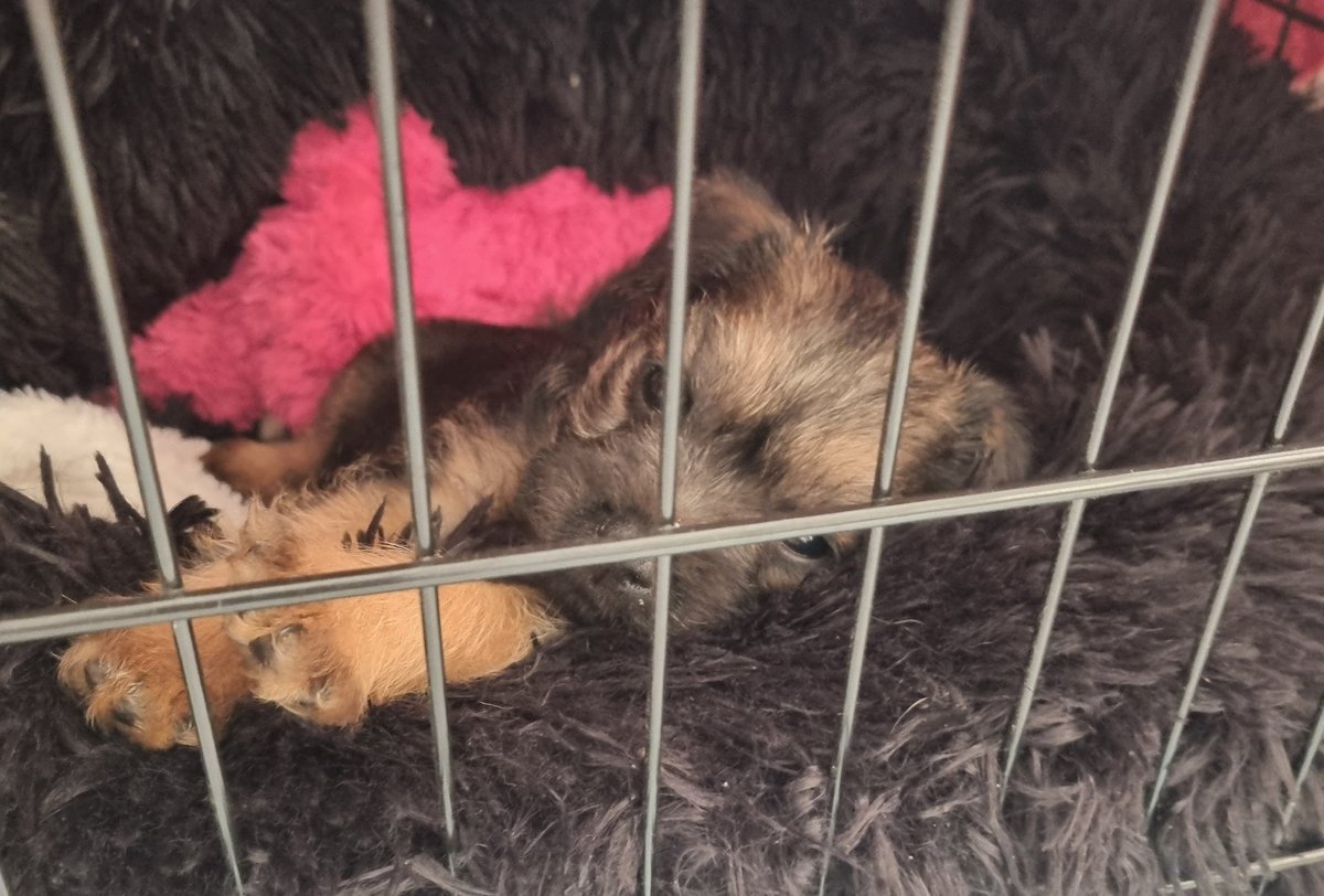 Reginald Barkley - sekretary of da social club! tweet media