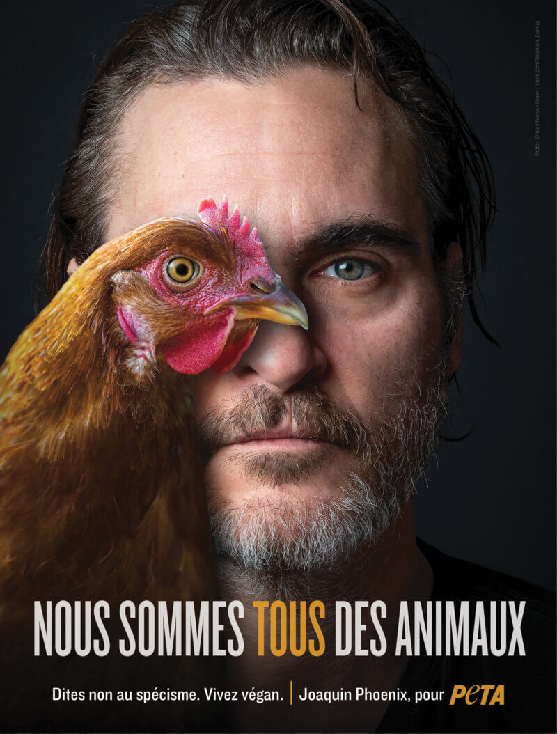 PETA France tweet media