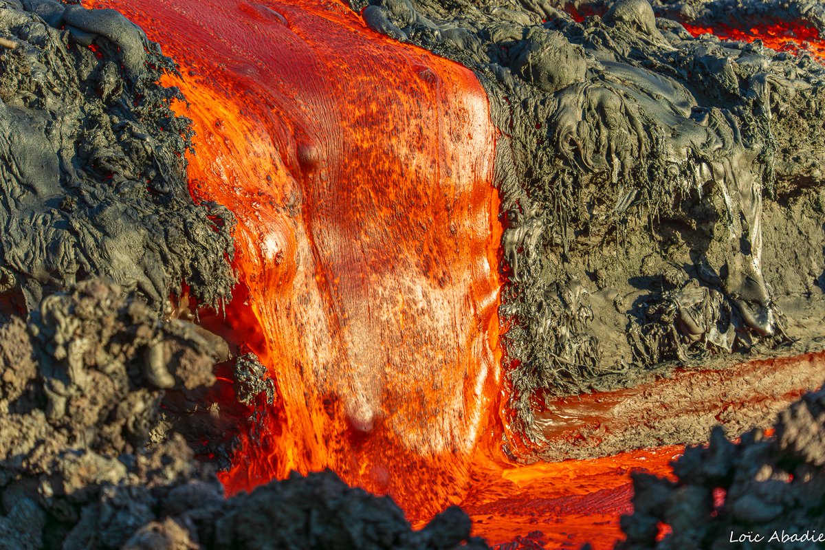 Loic Abadie tweet media