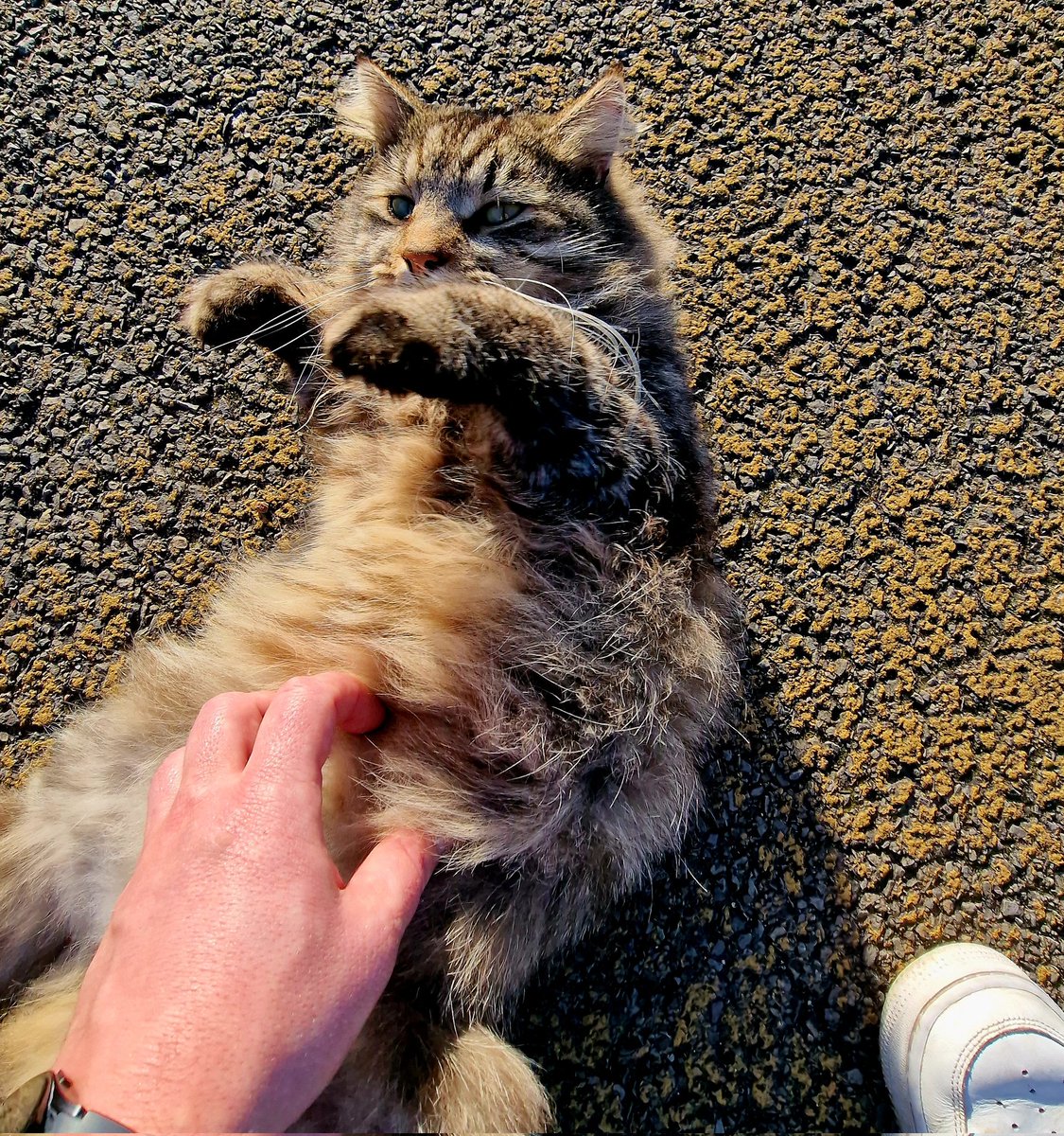 Mark Narrations tweet media