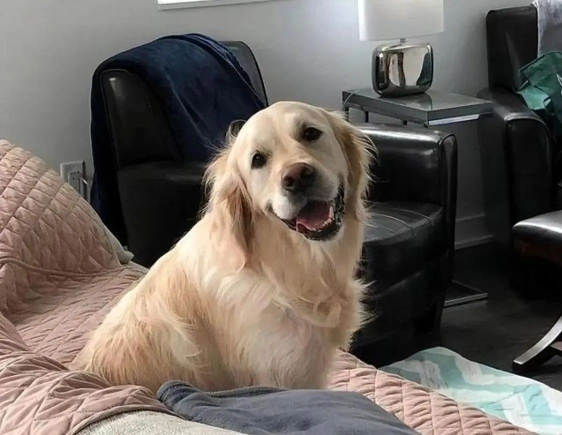 Natthapong 253 tweet media