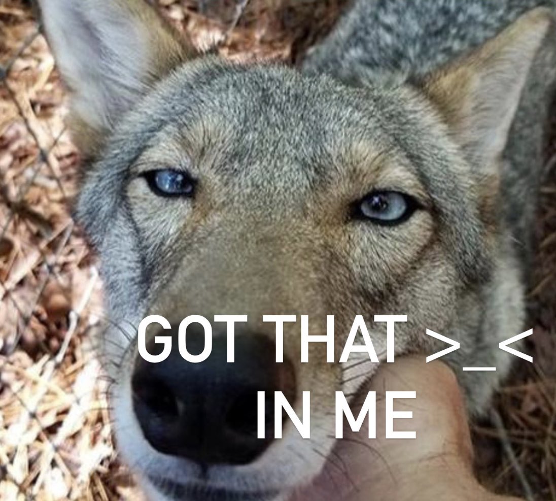 Danny (@particledan) on Twitter photo 