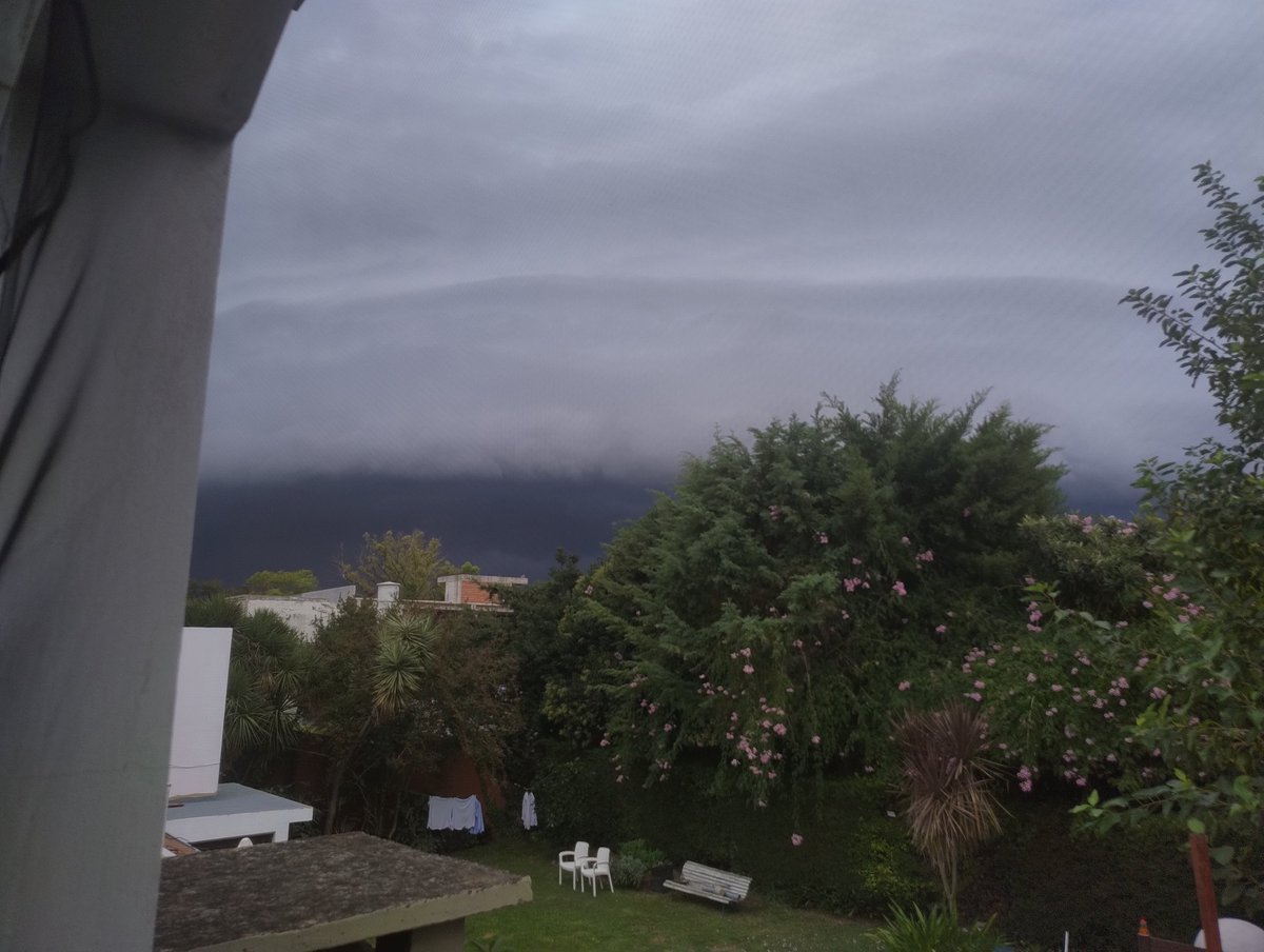 Juan Ayoroa tweet media