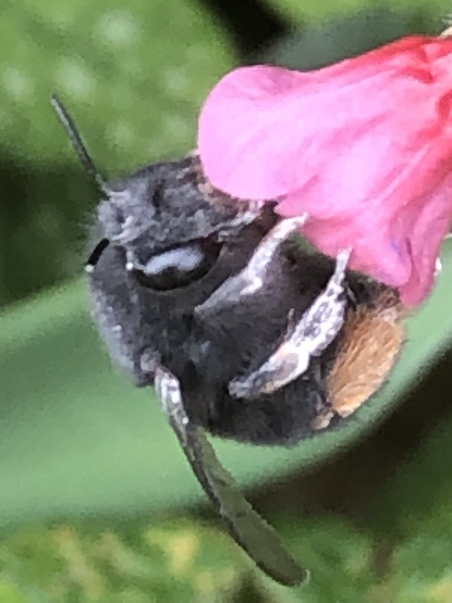 Derriennebell Bell tweet media