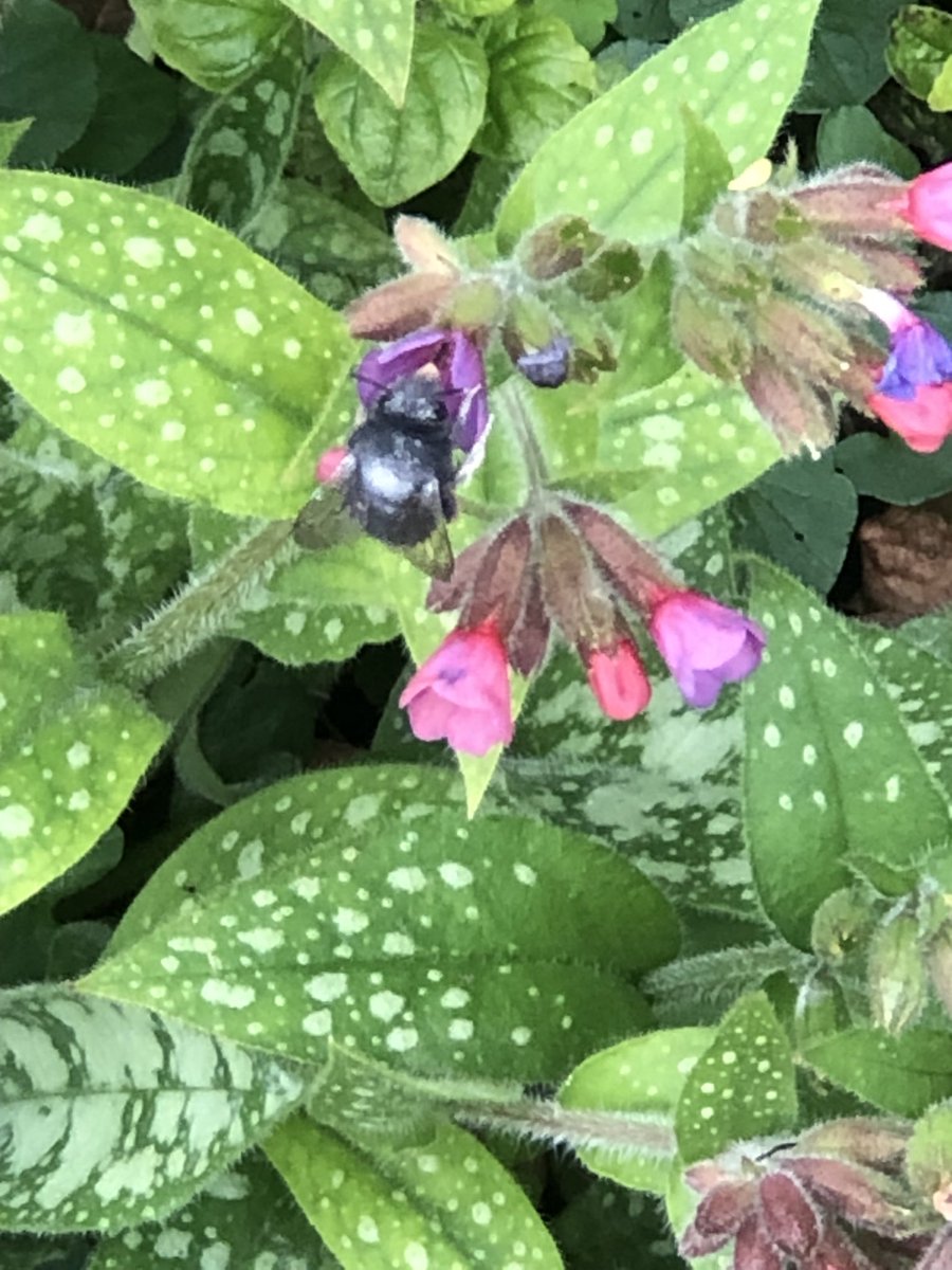 Derriennebell Bell tweet media