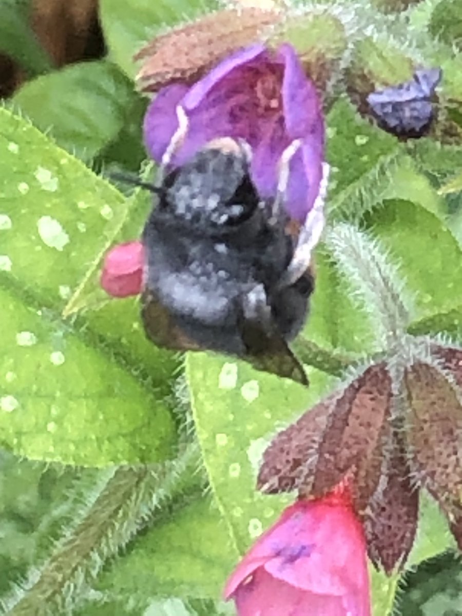 Derriennebell Bell tweet media